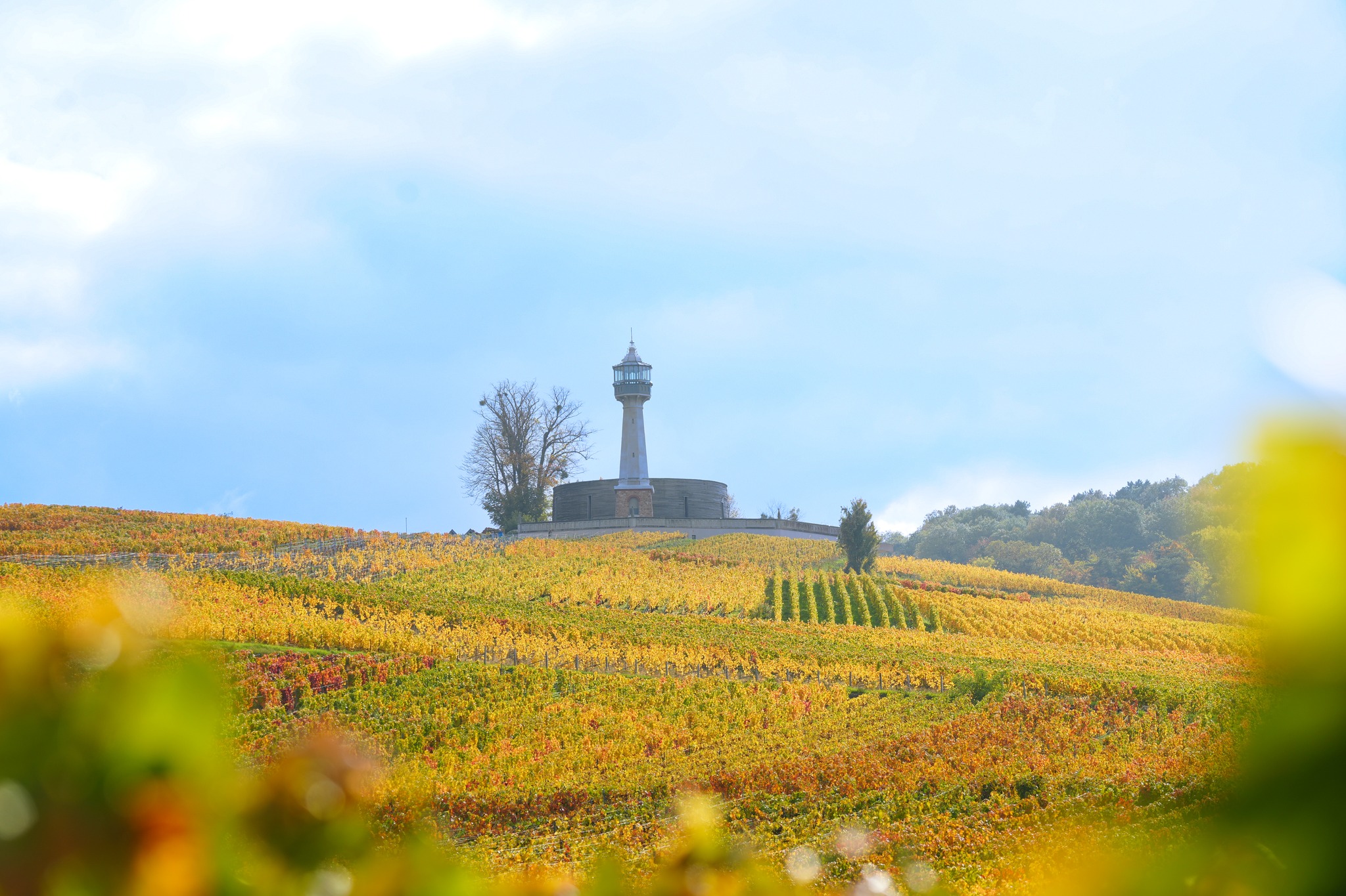Phare de Verzenay