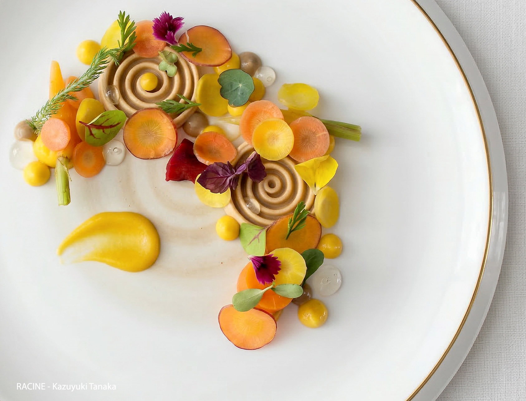 Restaurant Racine à Reims – 2 étoiles Guide Michelin, chef Kazuyuki Tanaka