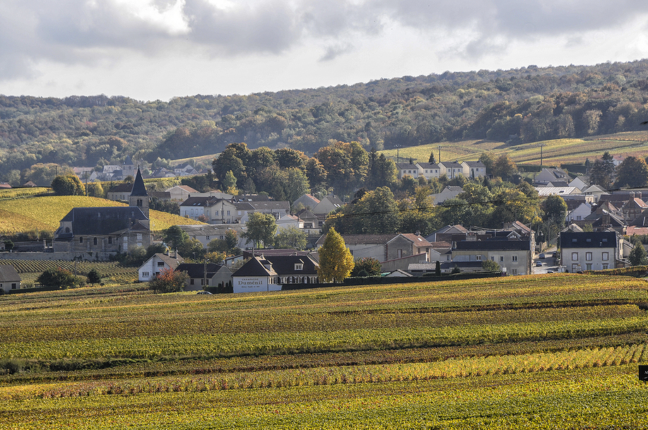 village de Chigny-les-Roses